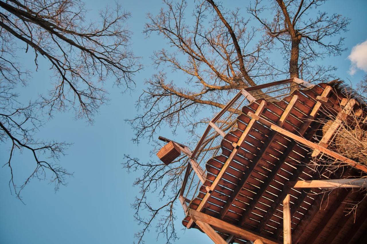 Jesenice Treehouse Kremilek别墅 外观 照片