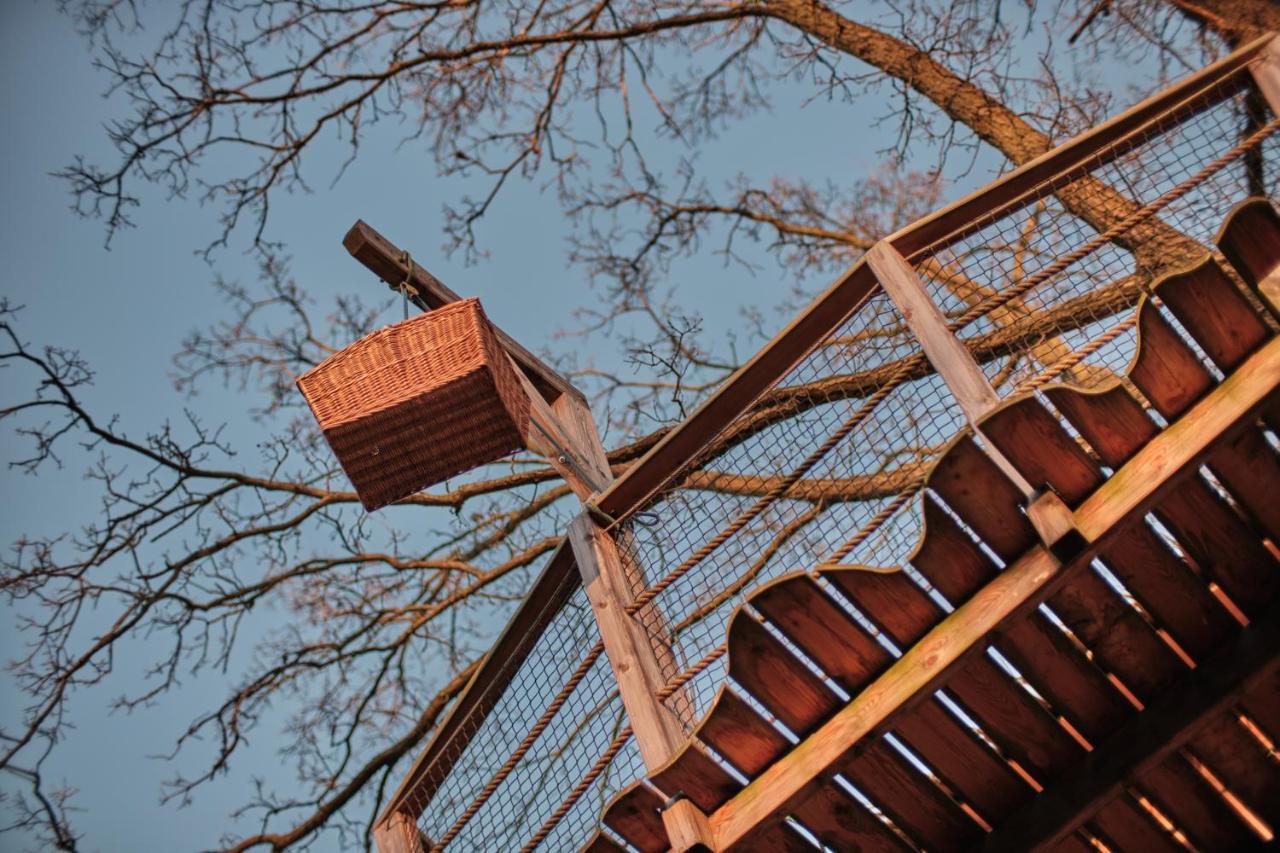 Jesenice Treehouse Kremilek别墅 外观 照片